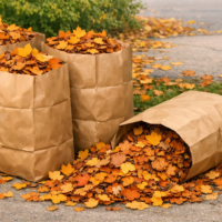 Feuilles mortes_sacs de papier_version horizontale Feuilles mortes_sacs de papier_version horizontale
